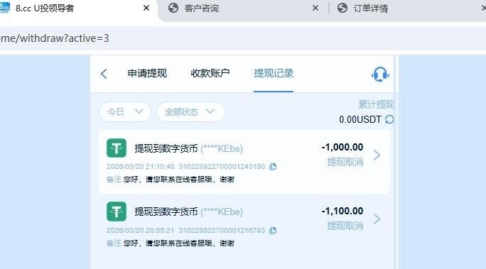 全网最强杀猪盘 8.cc，打了一下PG电子和WG电子，结果出款1100U的时候客服说套利退本金